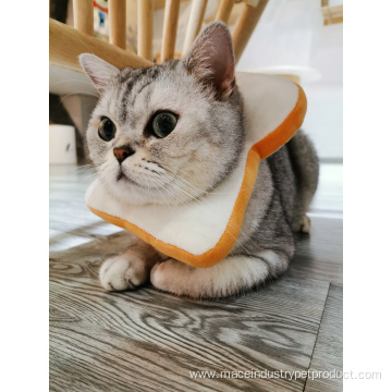 Toast bread hood kitten Elizabeth Collar